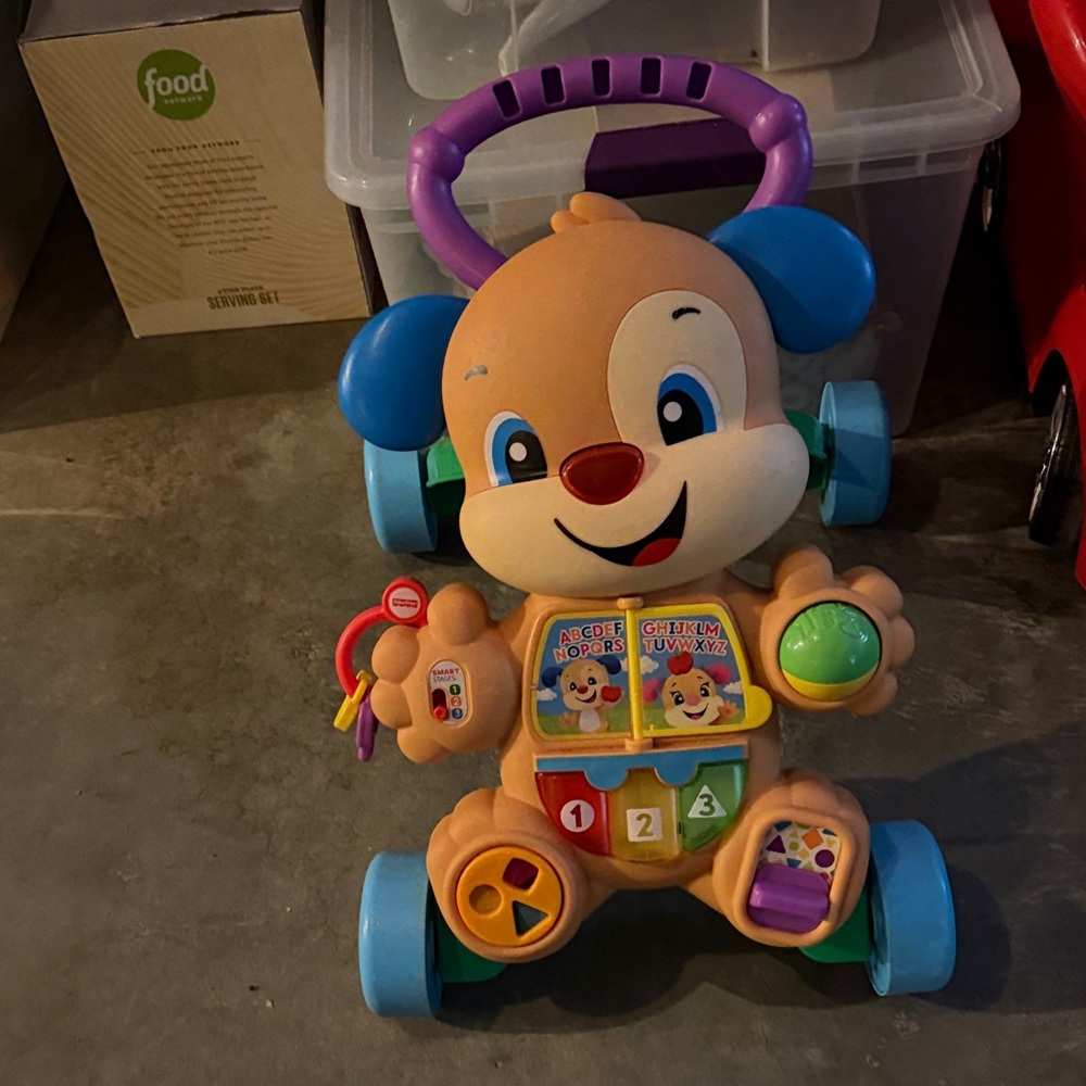 Fisher-Price Puppy Activity Push Walker - Purple, Blue, Green, Red, Yellow